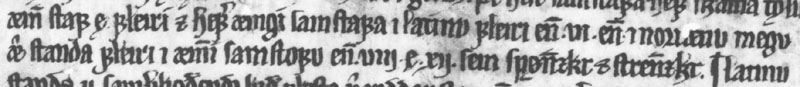 AM 242 fol, p. 98, ll. 3-4