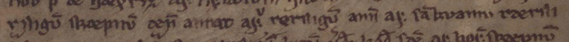 AM 748 I b 4to, fol. 1r, l. 15