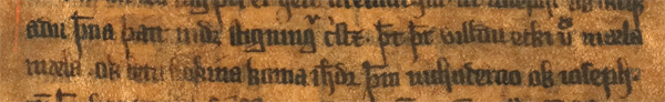 AM 233 a fol, fol. 28vB, l. 39-40