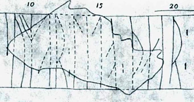 ch18/N564-A1-detail.jpg